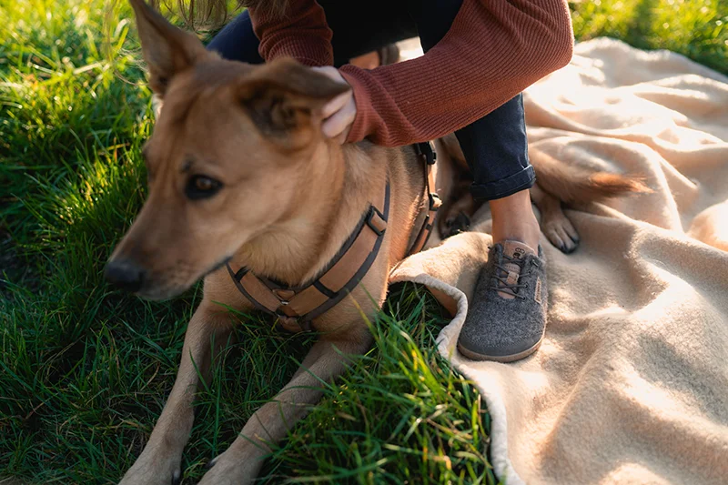 frau trägt barfußschuhe und streichelt ihren hund