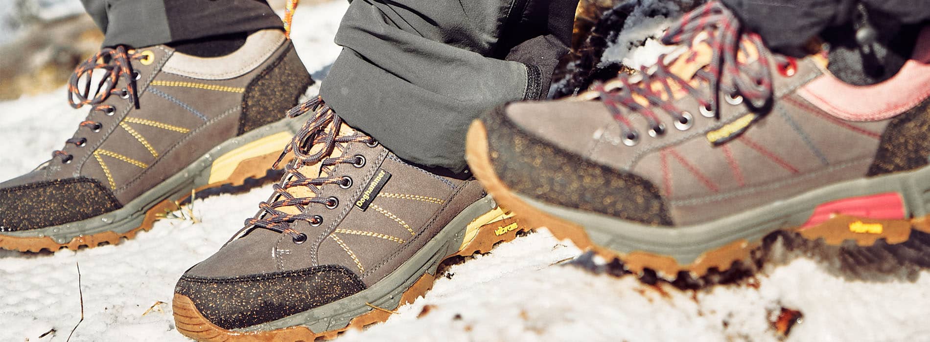 Banner-Guide-Vegan_Winter_1900x700