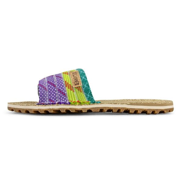 Dog2Go Newseed | Multicolor Buam