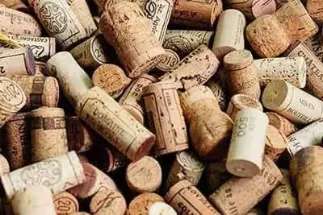 cork collect doghammer